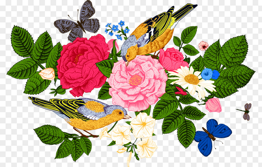 Peony Oriole Flower Clip Art PNG