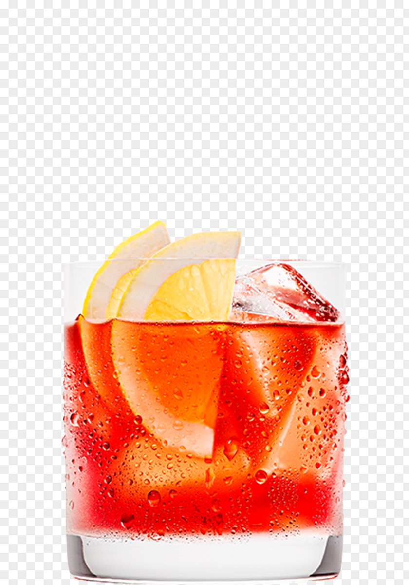Punch Negroni Cocktail Garnish Spritz Sea Breeze Orange Drink PNG