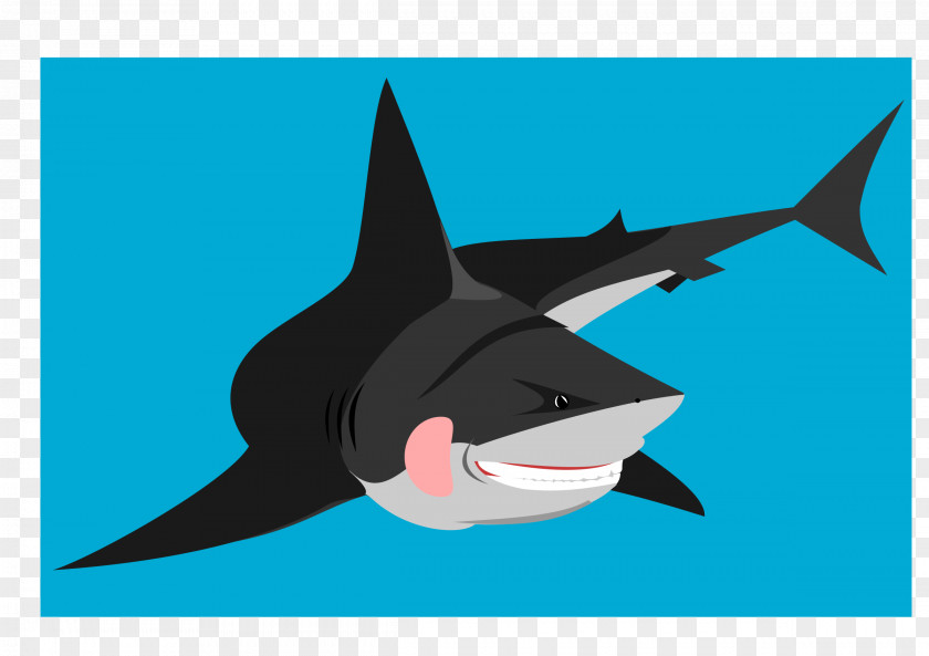 Sharks Shark Clip Art PNG