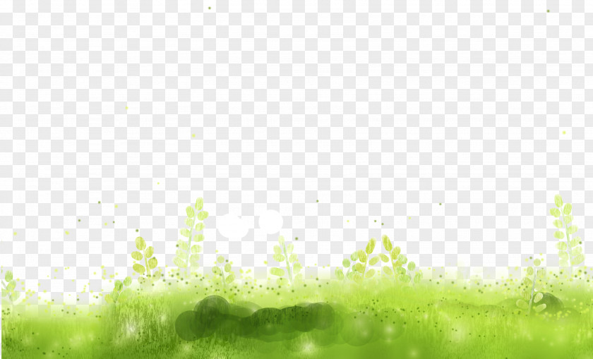 Green And Fresh Grass Border Texture PNG and fresh grass border texture clipart PNG