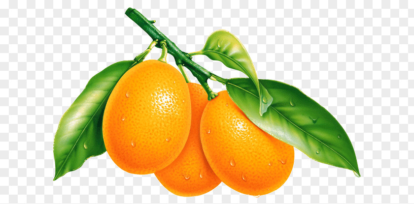 Orange Fruit Desktop Wallpaper PNG