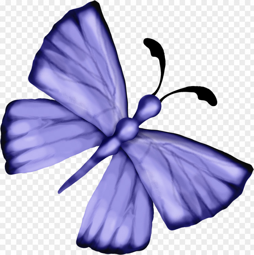 Purple Butterfly Fairy Violet Flowering Plant Petal Herbaceous PNG