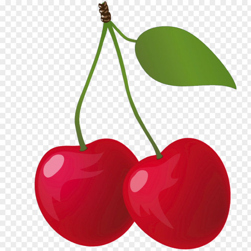 Cherry Kirsch Fruit Food Clip Art PNG
