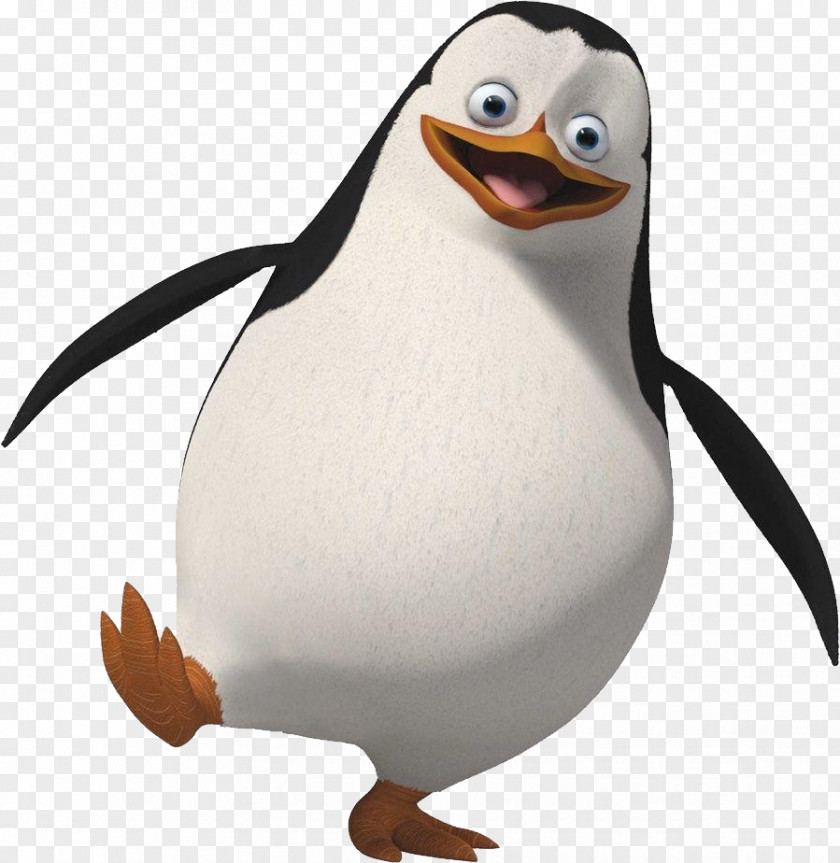 Madagascar Penguins Penguin Animation Clip Art PNG
