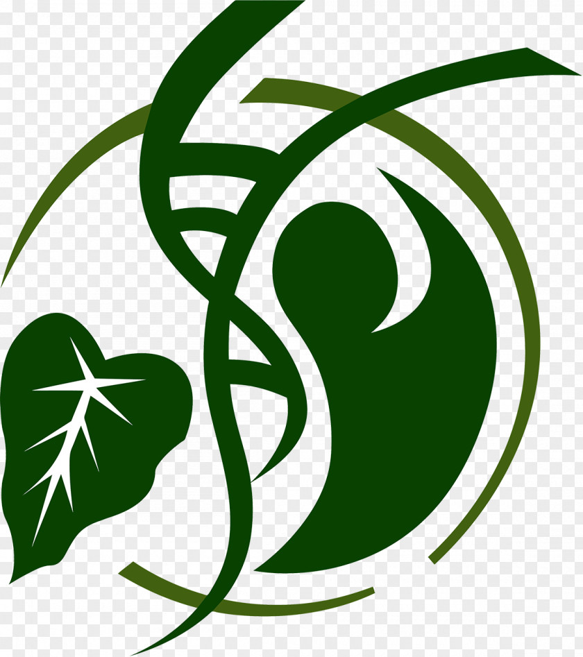 Mental Health Logo Clip Art Image Symbol Hawaii PNG