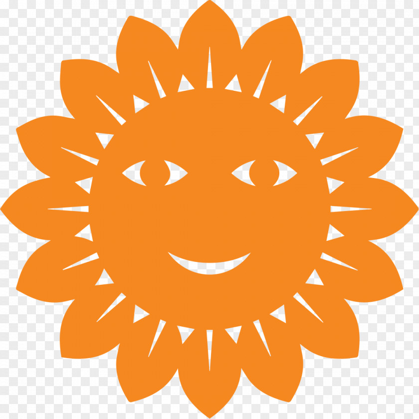 Summer Orange Fond PNG