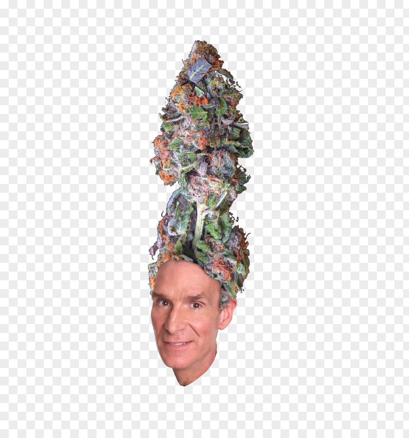 Tree Headgear PNG