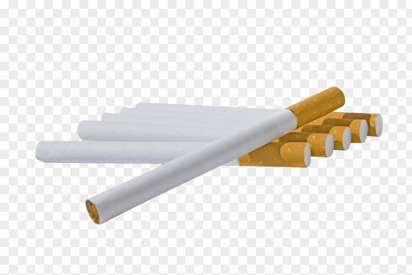 A Row Of Cigarettes Cigarette Stock Photography Tobacco PNG
