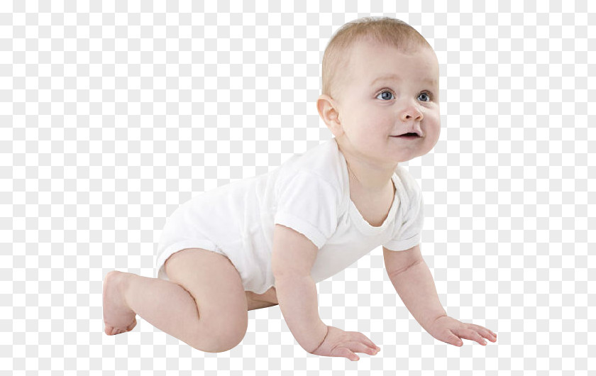 Baby Crawling Infant Child PNG