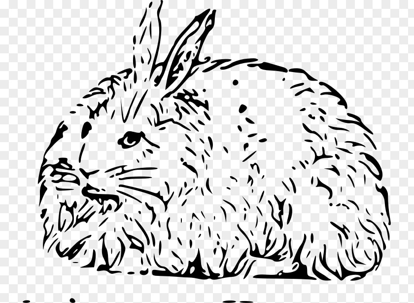 Ear Hole Angora Rabbit Domestic Hare Easter Bunny PNG