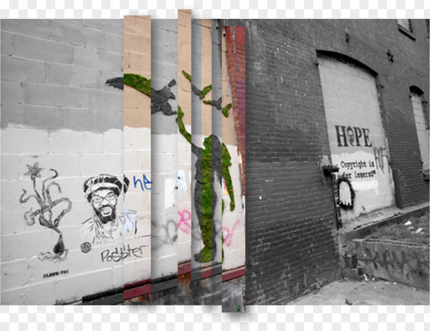 Graffiti Street Art Moss Artist Mural PNG
