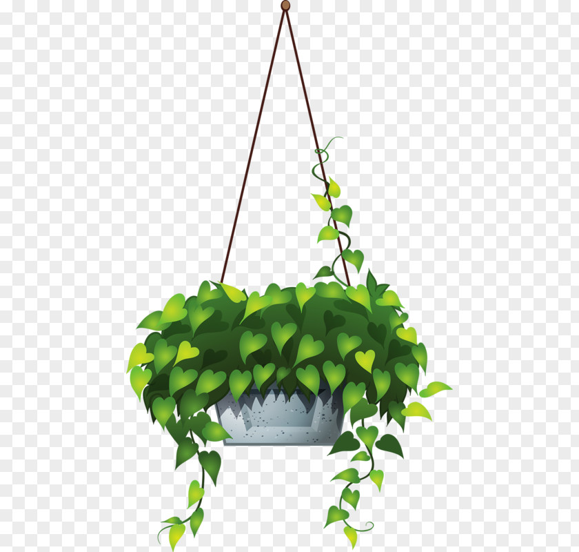 Plant Hanging Basket Clip Art PNG