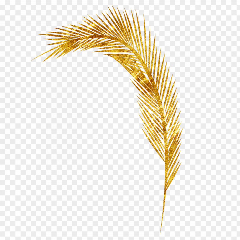 Wheat Yellow Commodity Grasses Family Pattern PNG