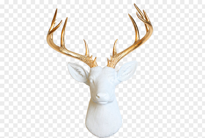 Deer White-tailed Wall Decal Taxidermy Antler PNG