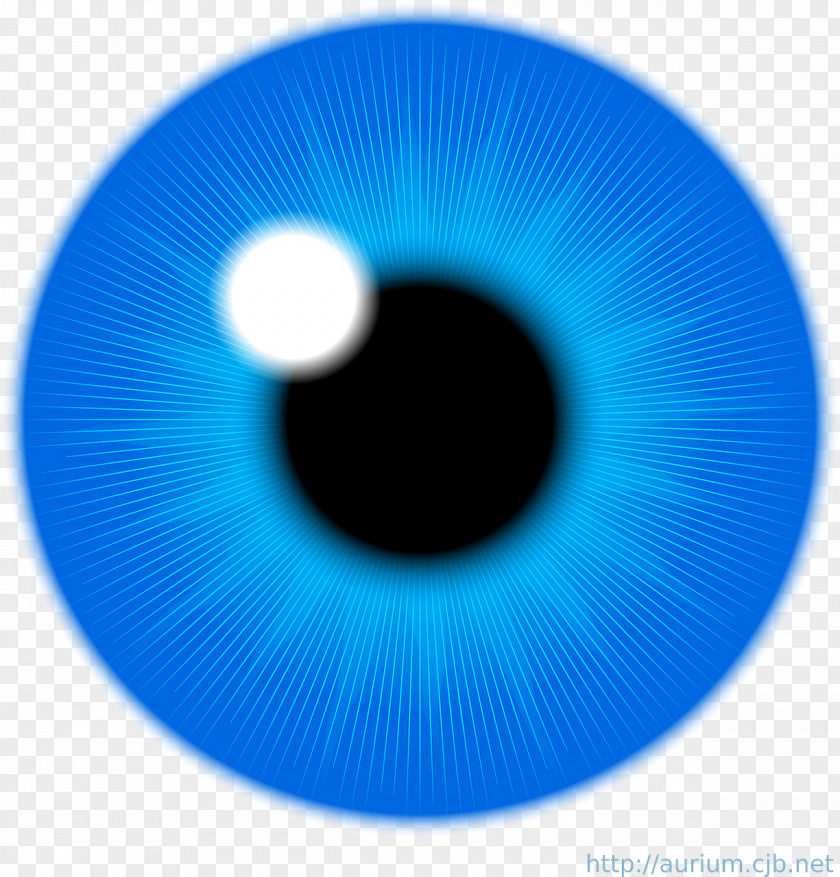 Eyes Eye Iris Blue Clip Art PNG