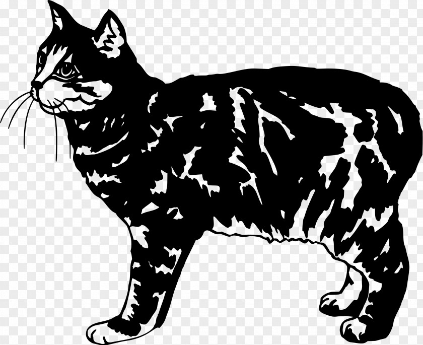 Feline Animal Manx Cat Whiskers Wildcat Domestic Short-haired Burmese PNG