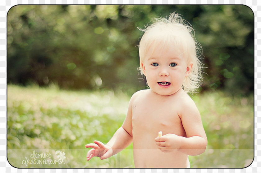 Gothic Carriage Horse Portrait Photography Toddler PNG