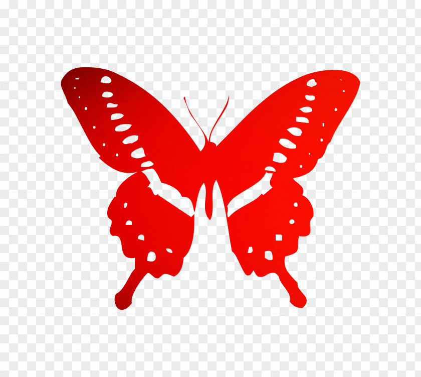 Monarch Butterfly Bumper Sticker Decal Insect PNG