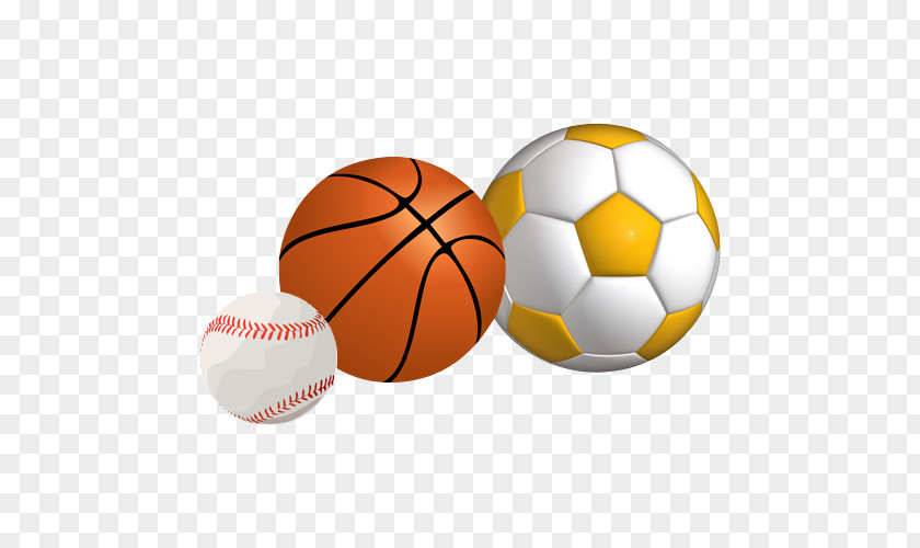 Recreational Sports Open Catalogue Data Ball PNG