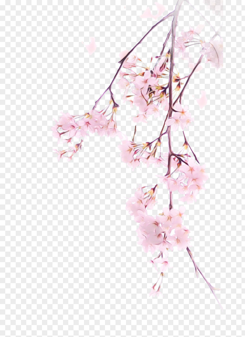 Tree Spring Cherry Blossom PNG