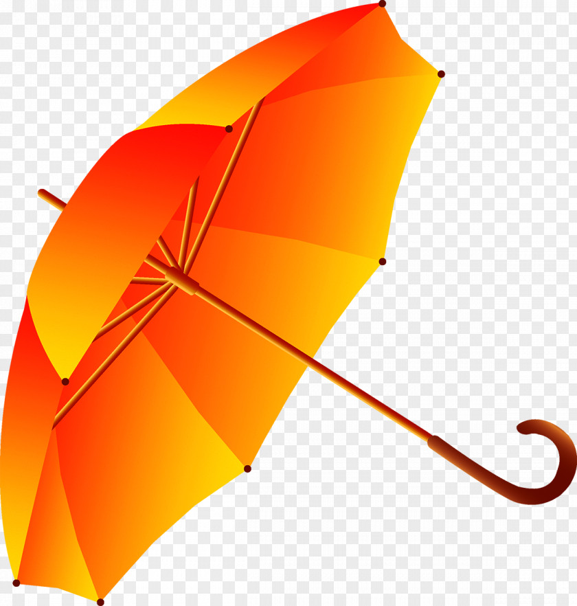Umbrella Euclidean Vector Vecteur PNG