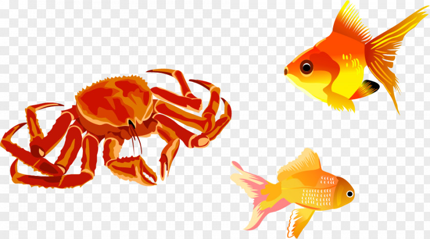 Vector Painted Crab Fishing Clip Art PNG