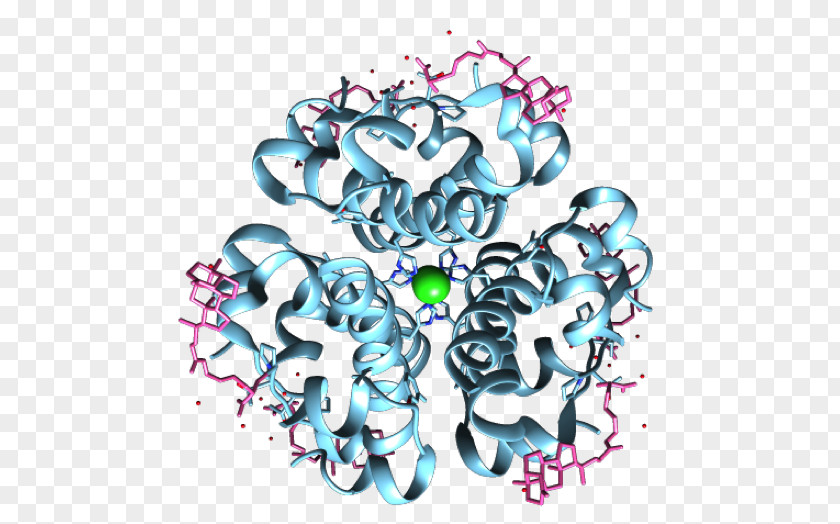 Angiotensin-converting Enzyme ACE Inhibitor PNG