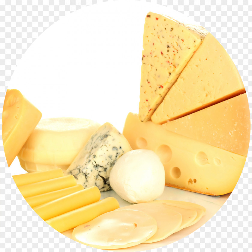 Cheese Macaroni And Sandwich Milk Cheddar PNG
