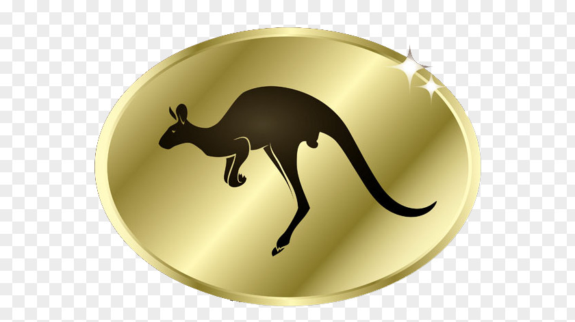 Kangaroo Gold Coin Macropodidae Eastern Grey PNG