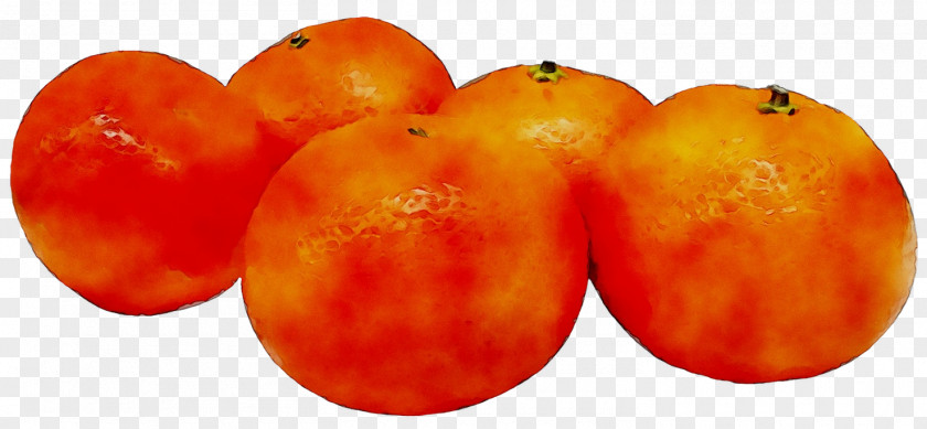 Plum Tomato Food Ha Ne Mo PNG