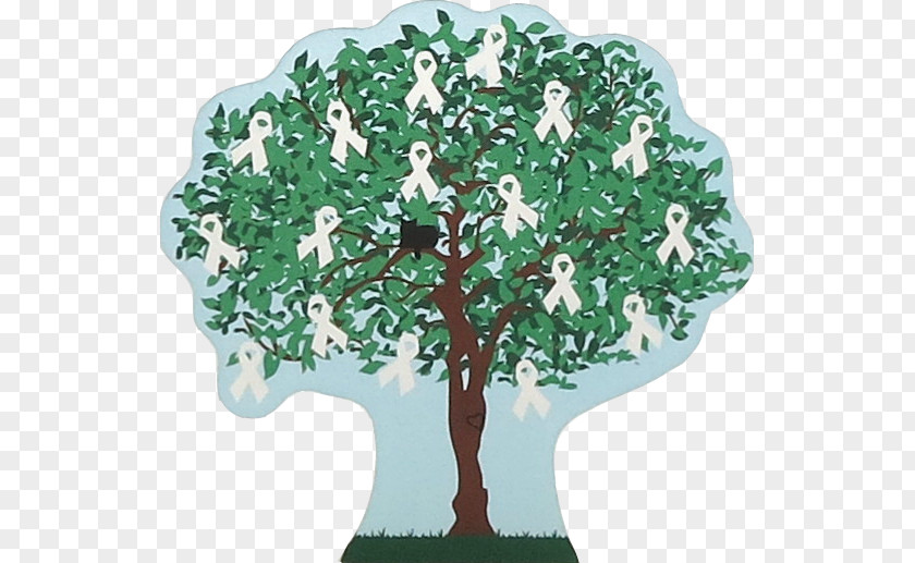 Tree Houseplant PNG