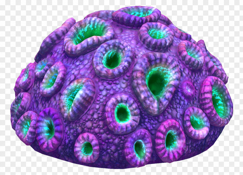 Coral Subnautica Brain Reef PNG