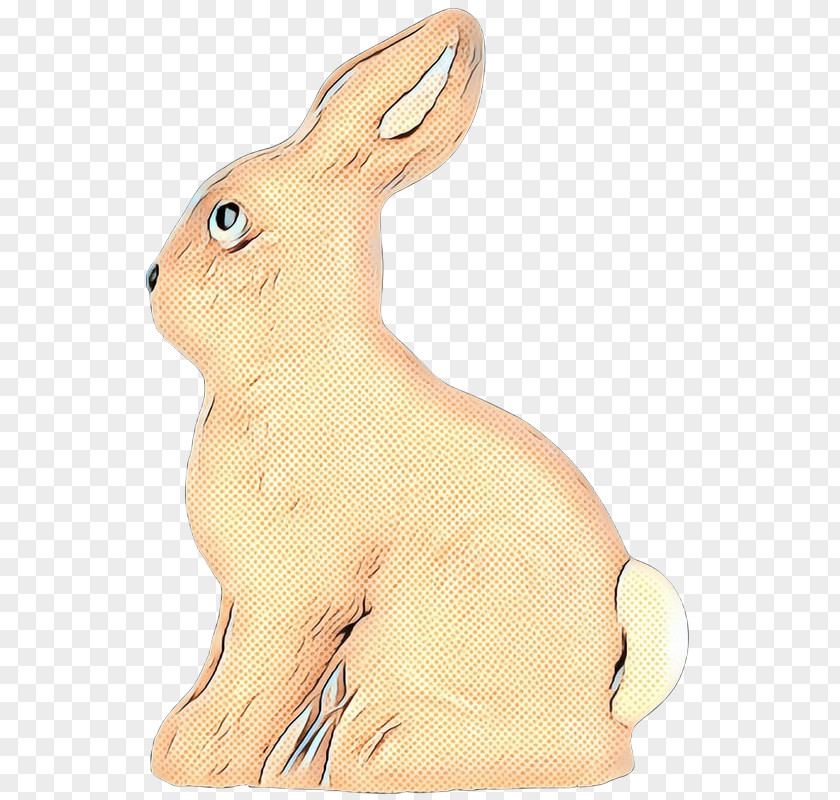 Domestic Rabbit Hare Easter Bunny Whiskers PNG