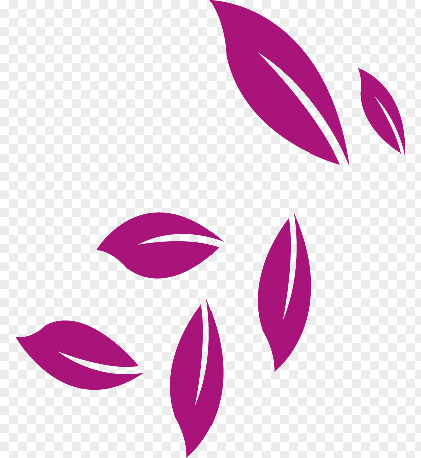 Leaves Petal Pattern PNG