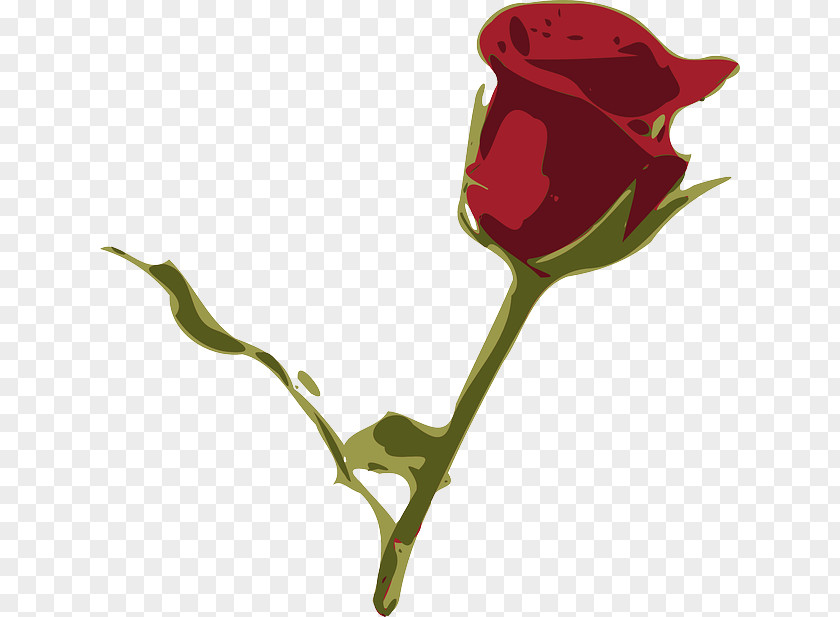 Rose Vector PNG