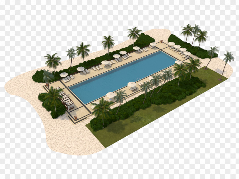 Water Property Swimming Pool Resources Estate PNG