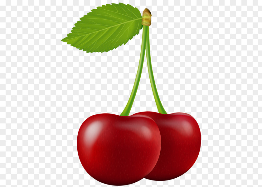 Cerry Sour Cherry Fruit Clip Art PNG