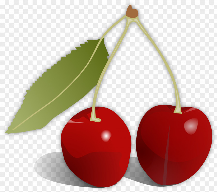 Cherries Cherry Pie Fruit Clip Art PNG