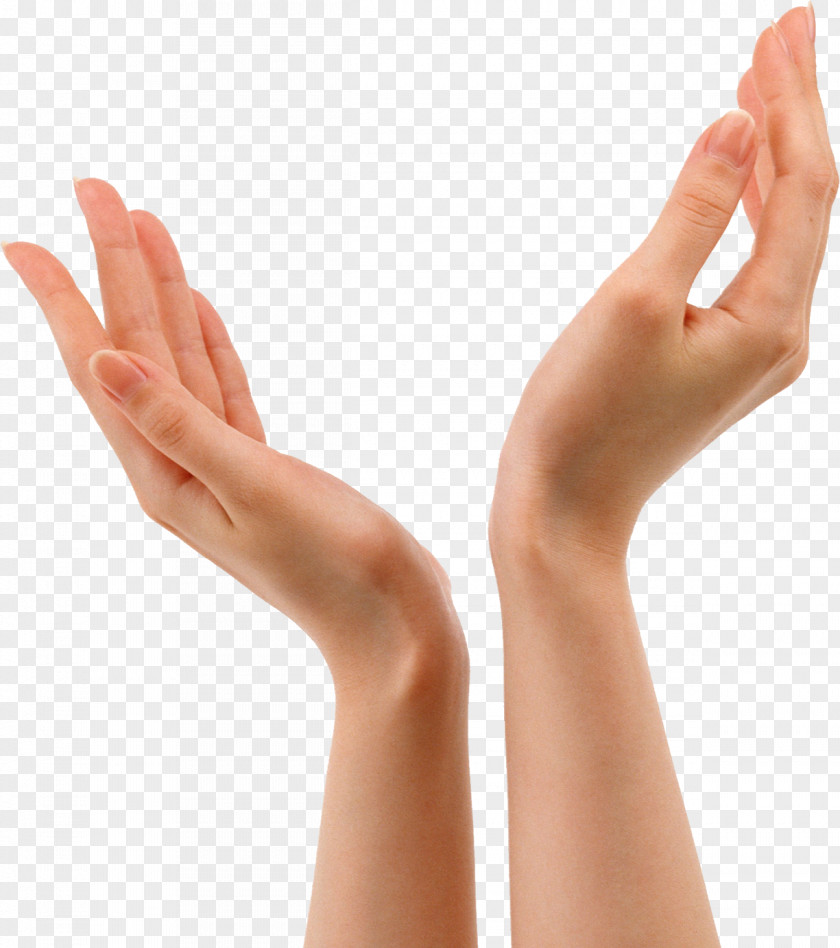 Hands 8 Hand Forearm PNG