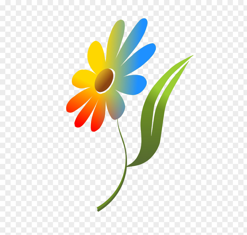 Simple Flower Cliparts Common Daisy Rainbow Clip Art PNG