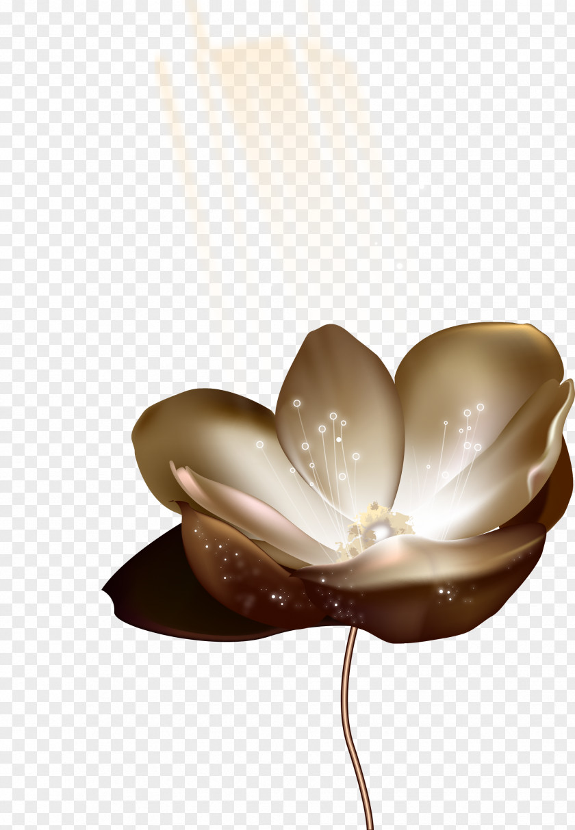 Art Golden Lotus Bloom Nelumbo Nucifera PNG
