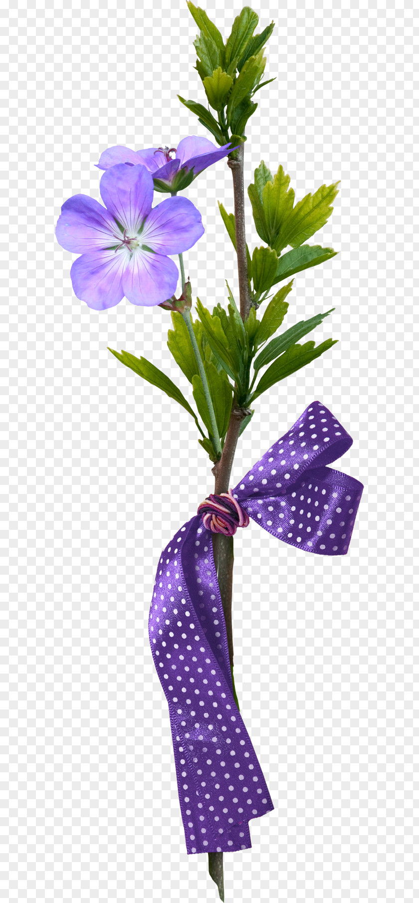Flowers And Plants Flower Clip Art PNG