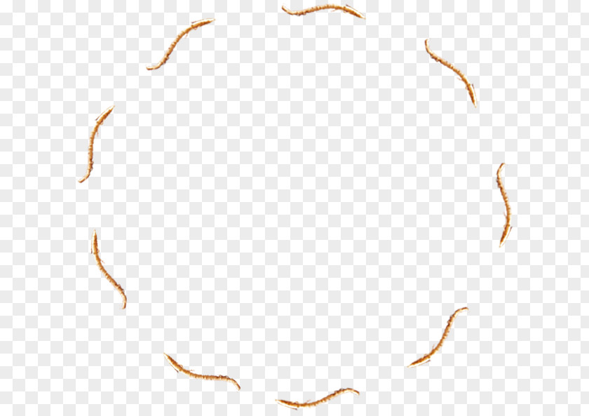 Golden Wave Circular Ring Animal Pattern PNG