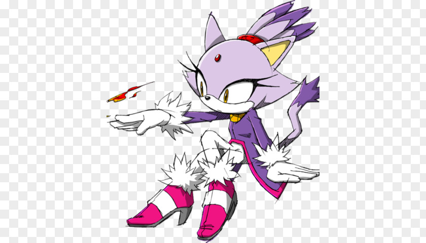 Sonic The Hedgehog Rush Adventure Generations Cat PNG