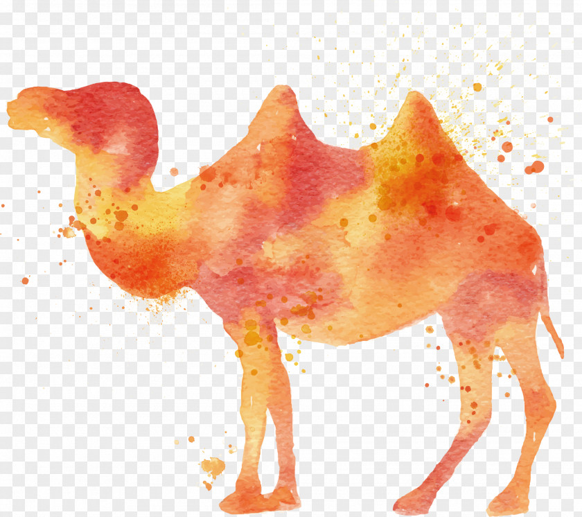 Vector Camel Watercolor Painting Illustration PNG
