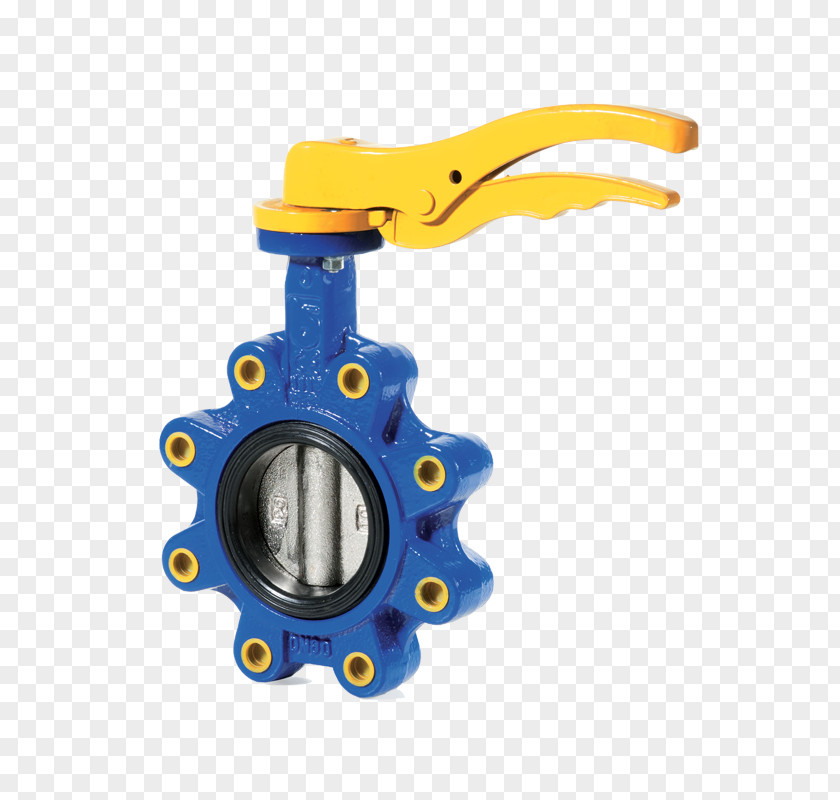 Butterfly Valve Stainless Steel Ductile Iron PNG