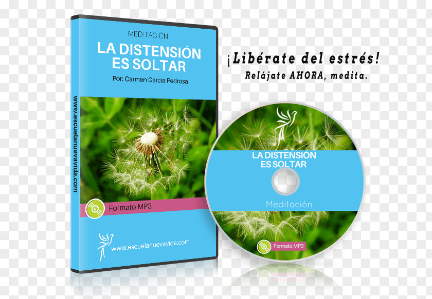 ESTRES Ecosystem Life Brand Brochure School PNG