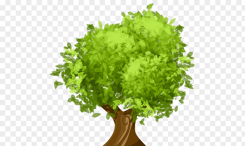 TREE CARTOON Tree Pruning Arborist Climate Change Crown PNG