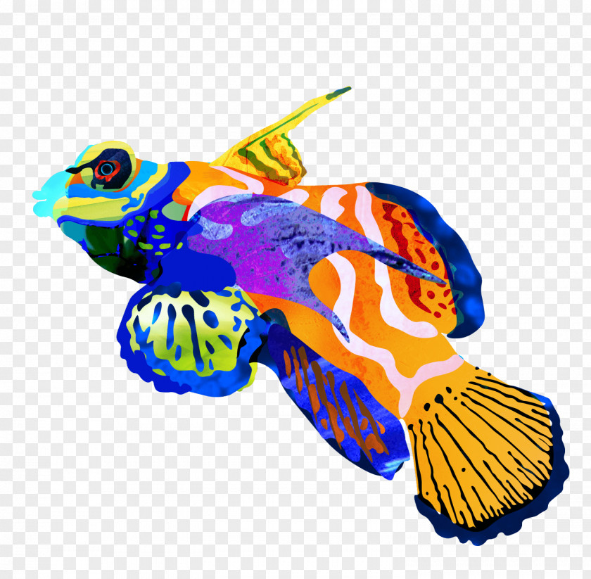 Bi Banner Illustration Design Fish Clip Art Animal PNG