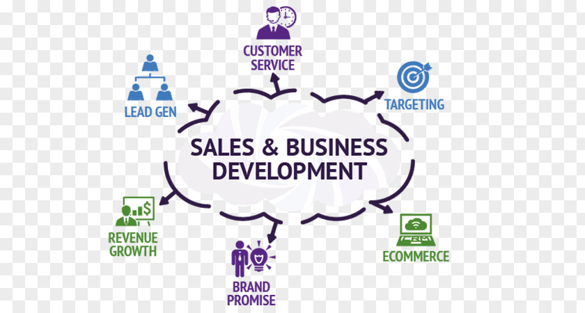 Business Marketing Development Plan Sales Proposal PNG
